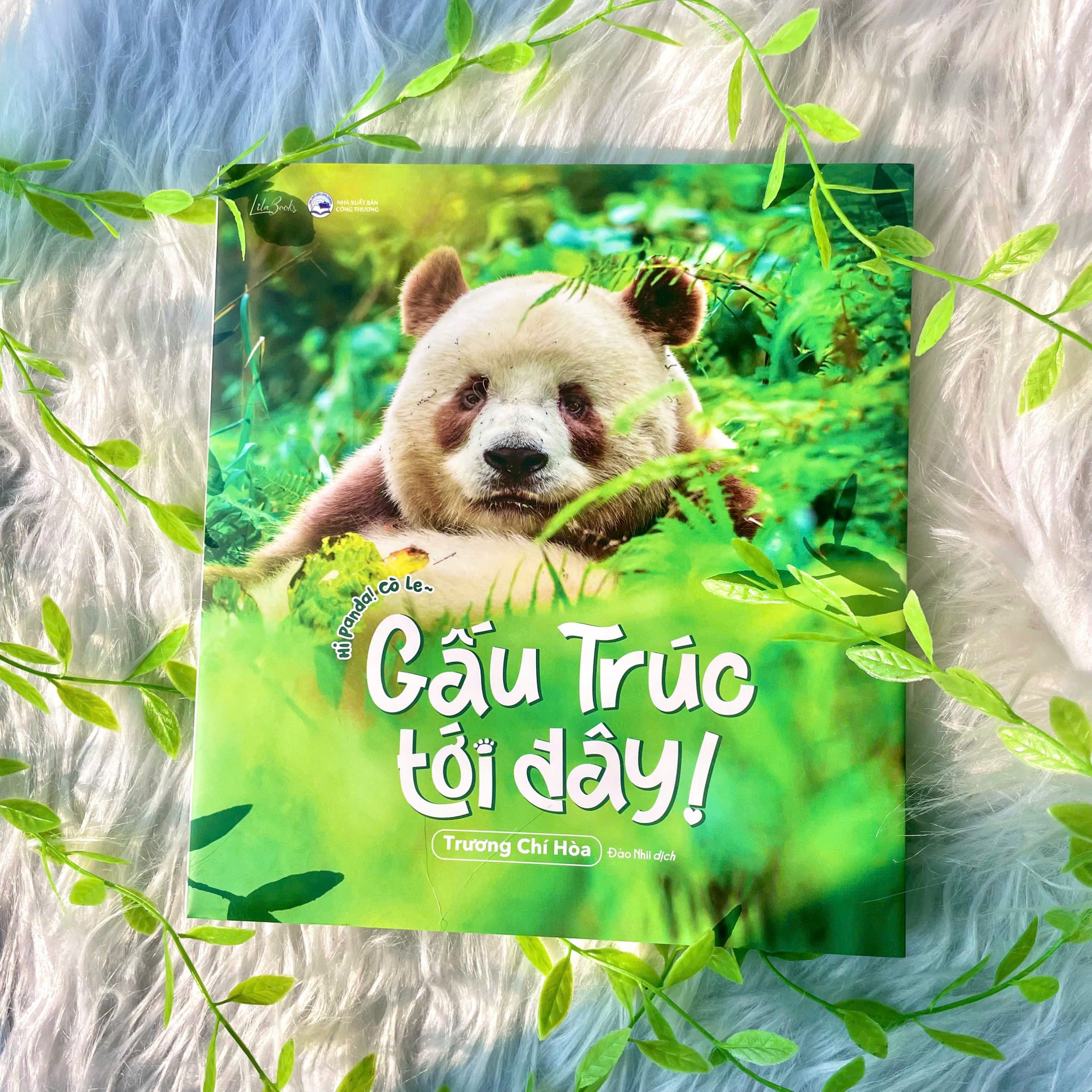 Gấu Trúc Tới Đây!