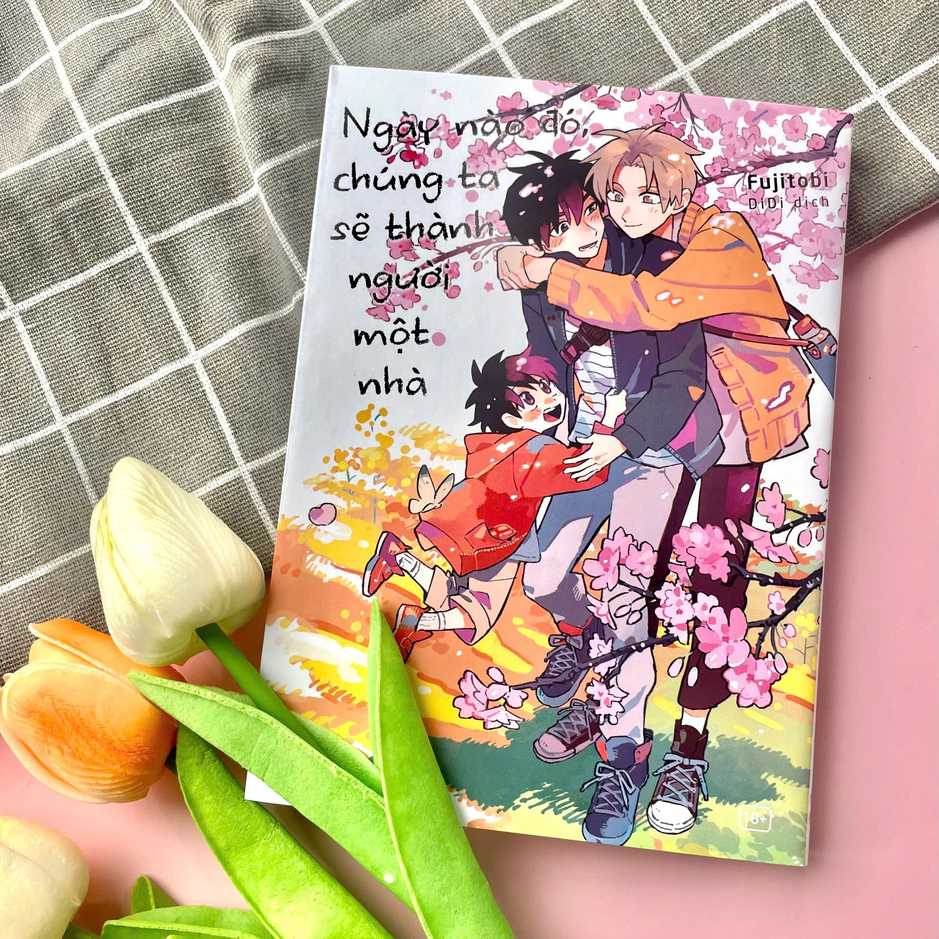 Ngày Nào Đó, Chúng Ta Sẽ Trở Thành Người Một Nhà